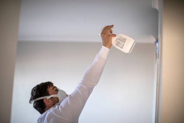 Best Mold Cleaning Services  in Wayzata, MN
